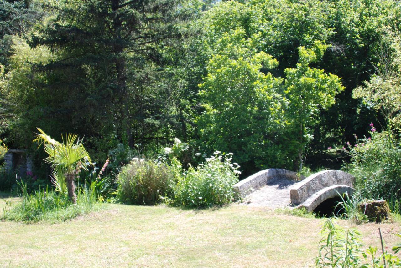 La Petite Marguerite Bed & Breakfast Chitenay Exterior foto