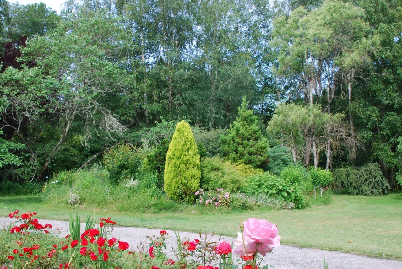 La Petite Marguerite Bed & Breakfast Chitenay Exterior foto
