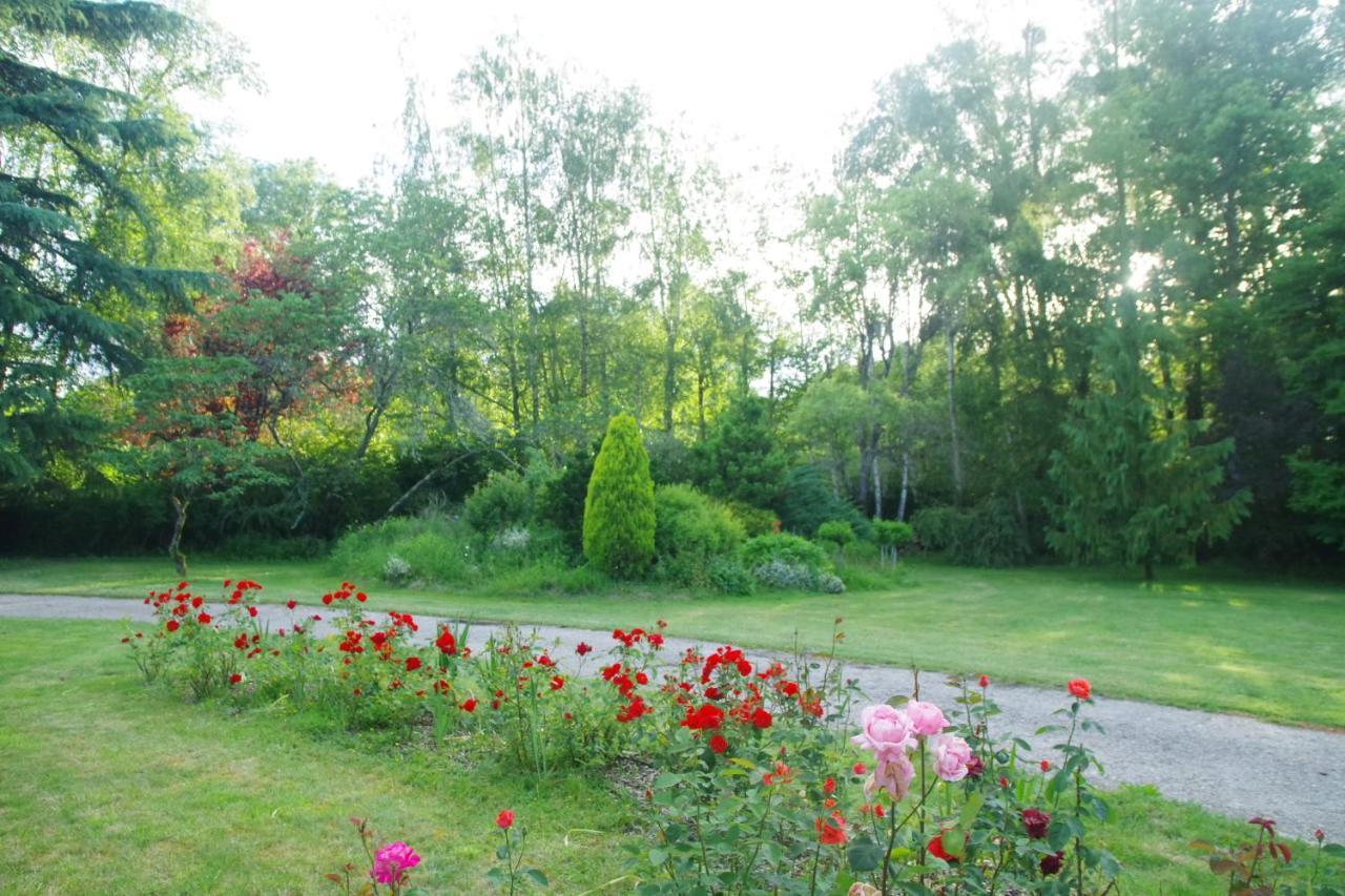 La Petite Marguerite Bed & Breakfast Chitenay Exterior foto