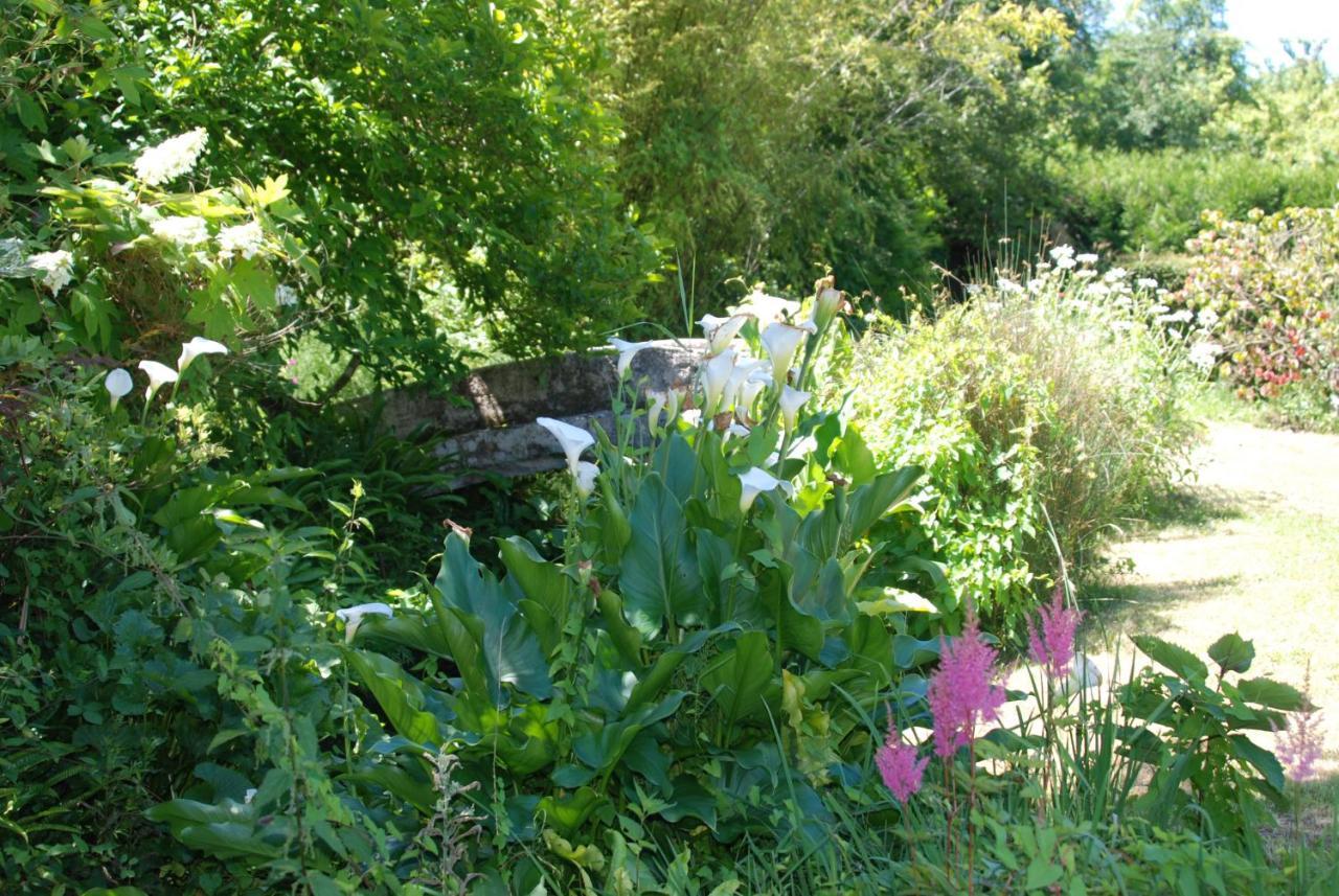 La Petite Marguerite Bed & Breakfast Chitenay Exterior foto